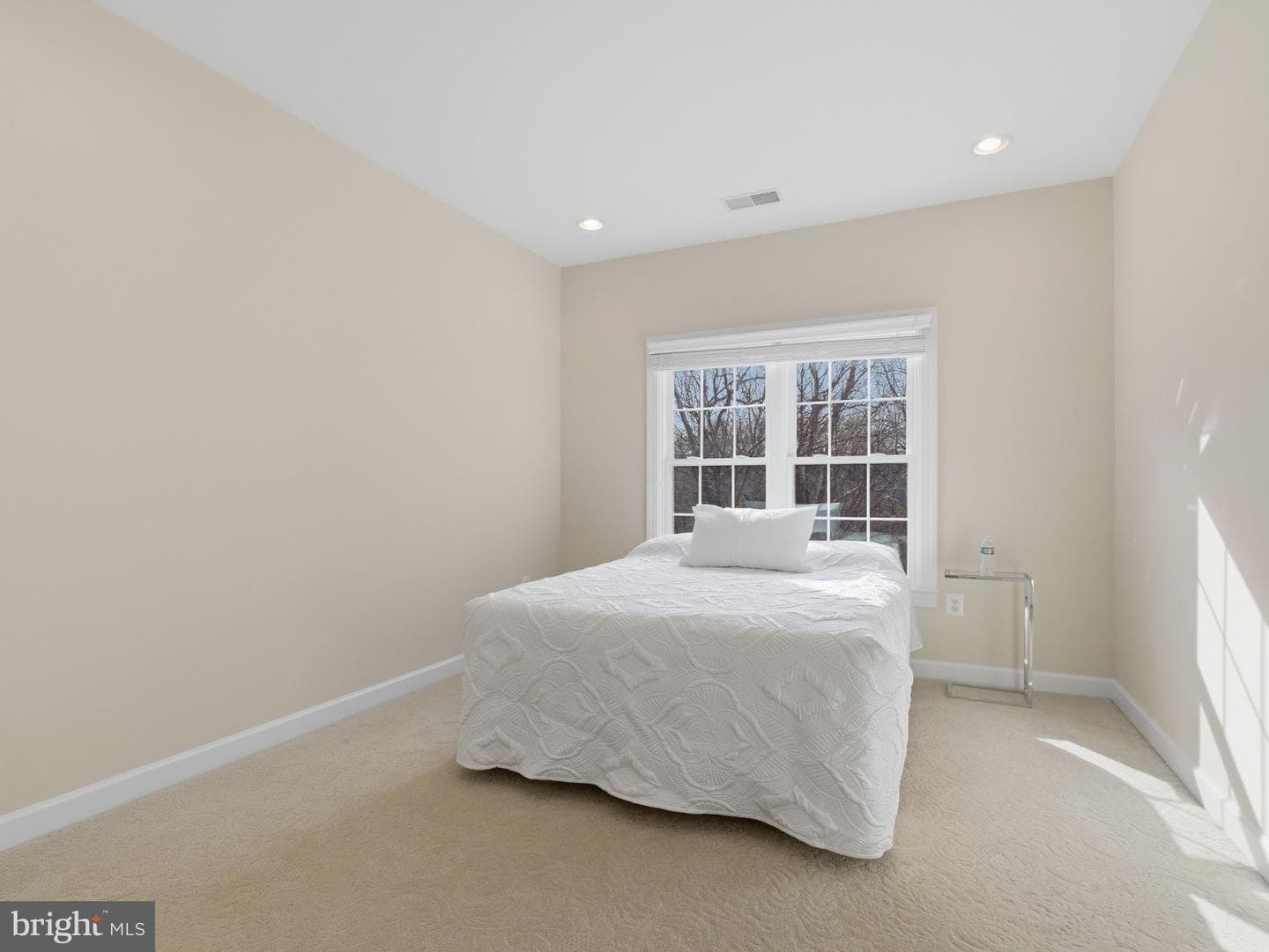 10123 Ratcliffe Manor Drive photo 132