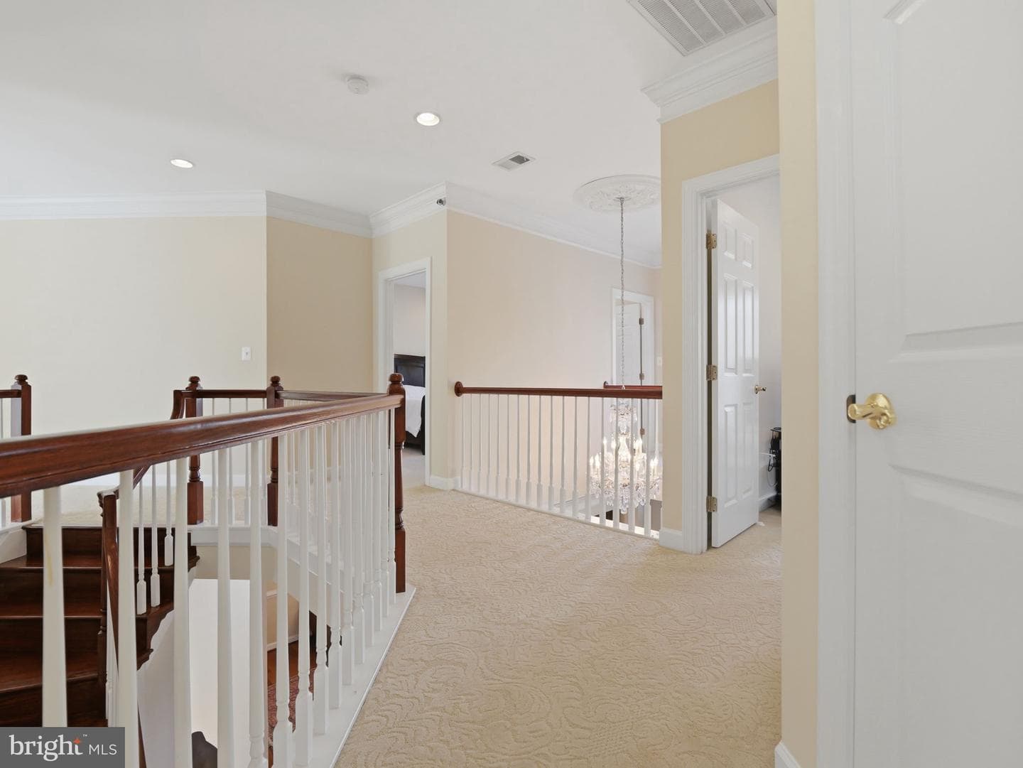 10123 Ratcliffe Manor Drive photo 134