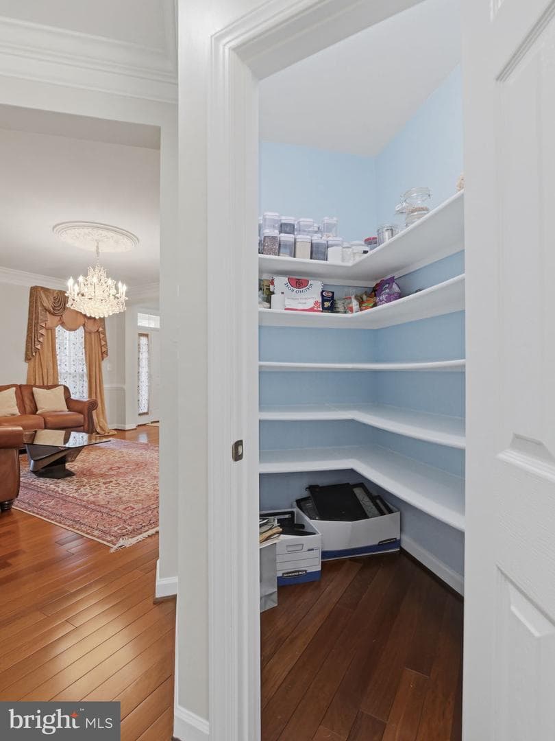 10123 Ratcliffe Manor Drive photo 37