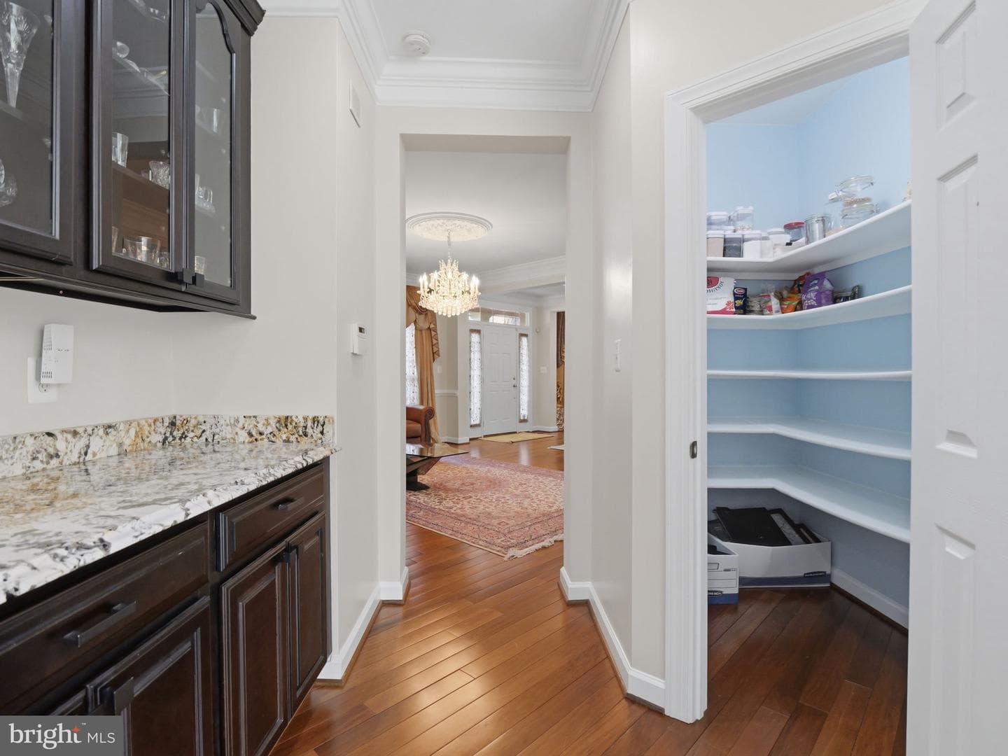 10123 Ratcliffe Manor Drive photo 38