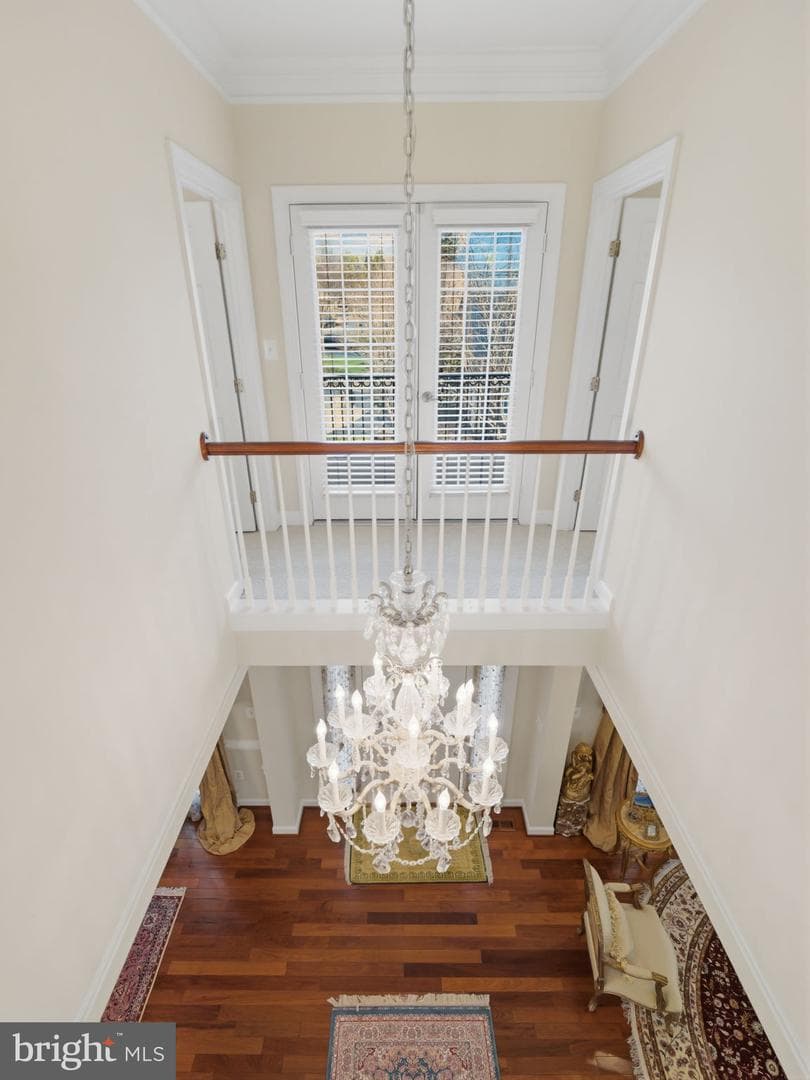 10123 Ratcliffe Manor Drive photo 93