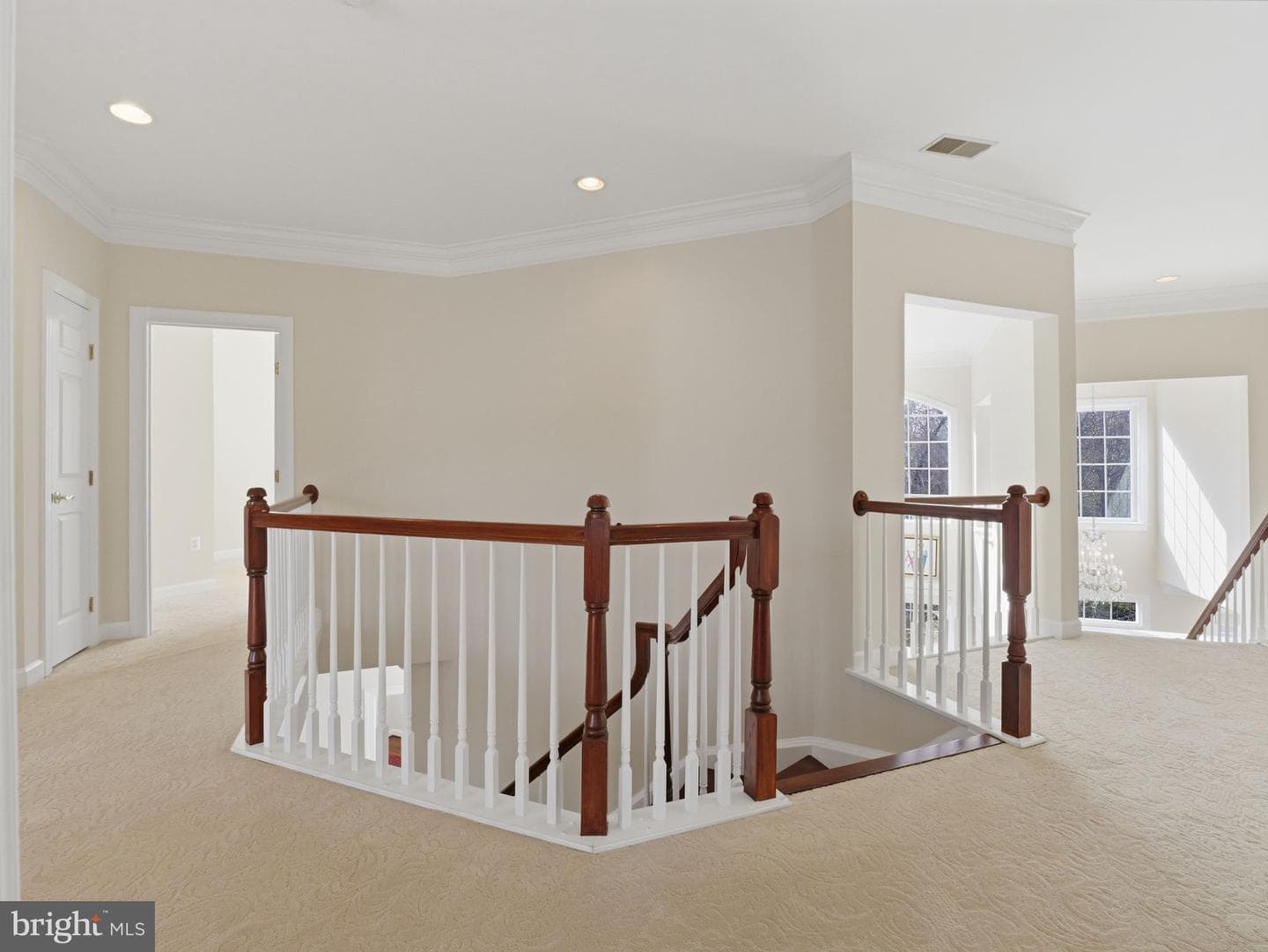 10123 Ratcliffe Manor Drive photo 97