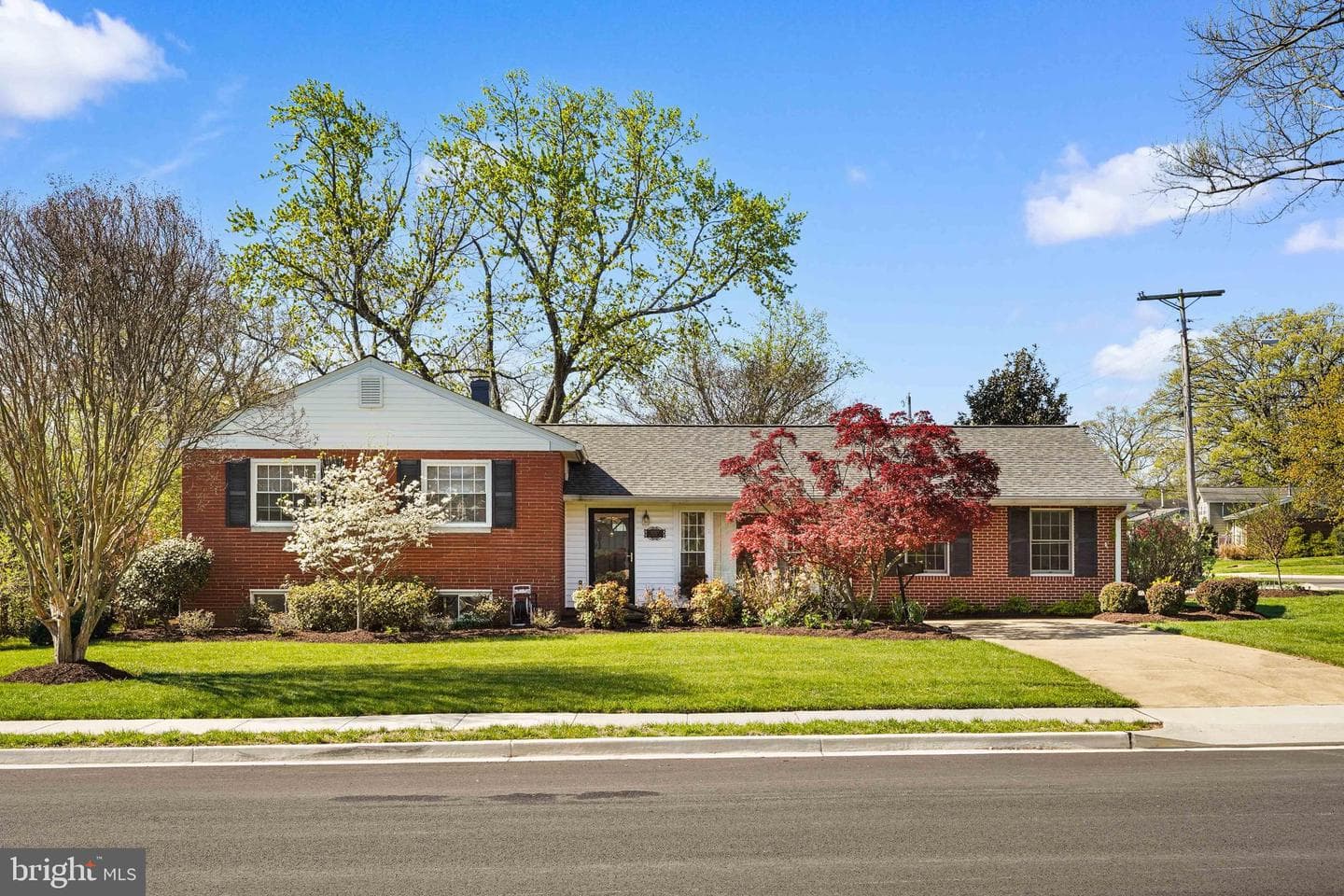 10917 Woodhaven Drive photo 1