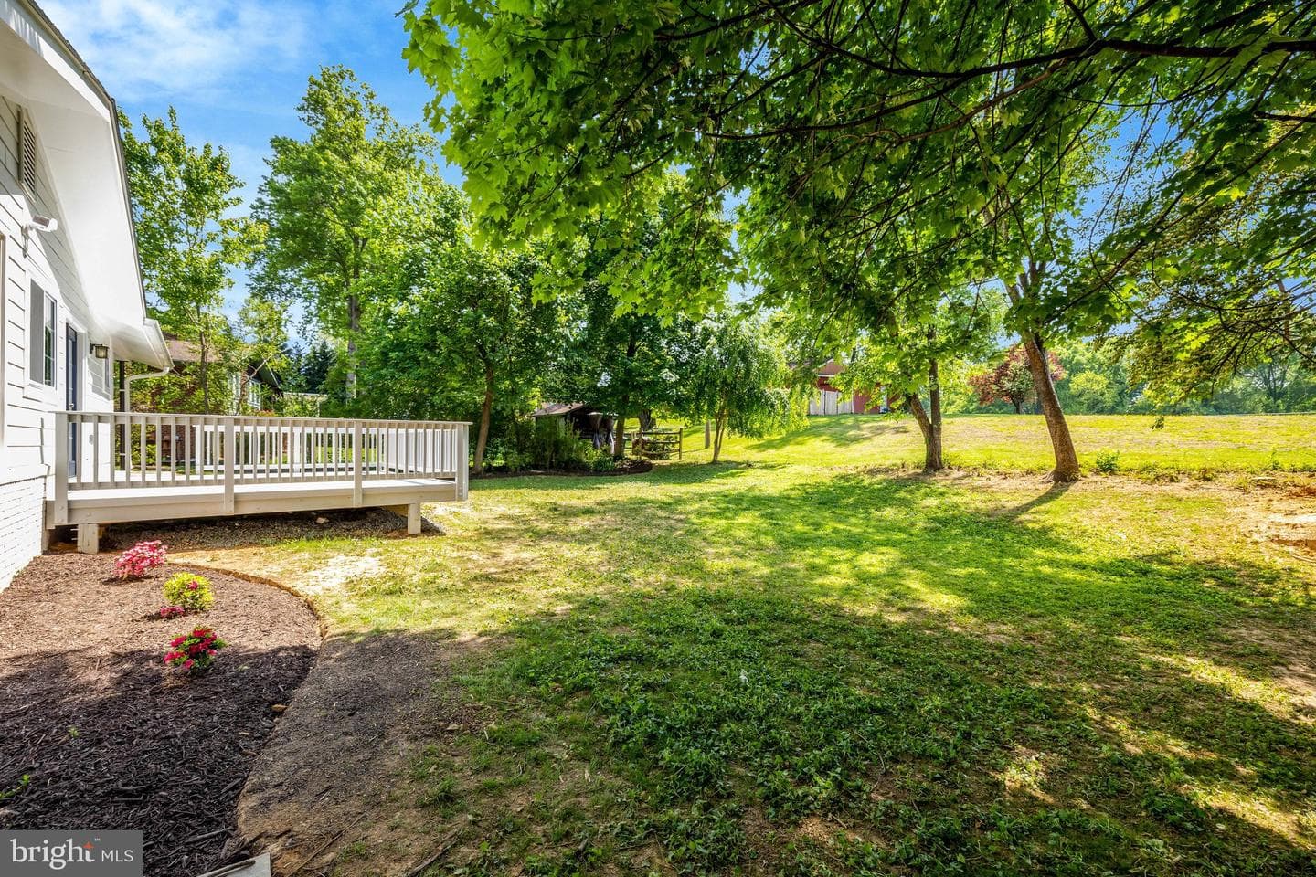 3503 Spring Lake Terrace photo 39