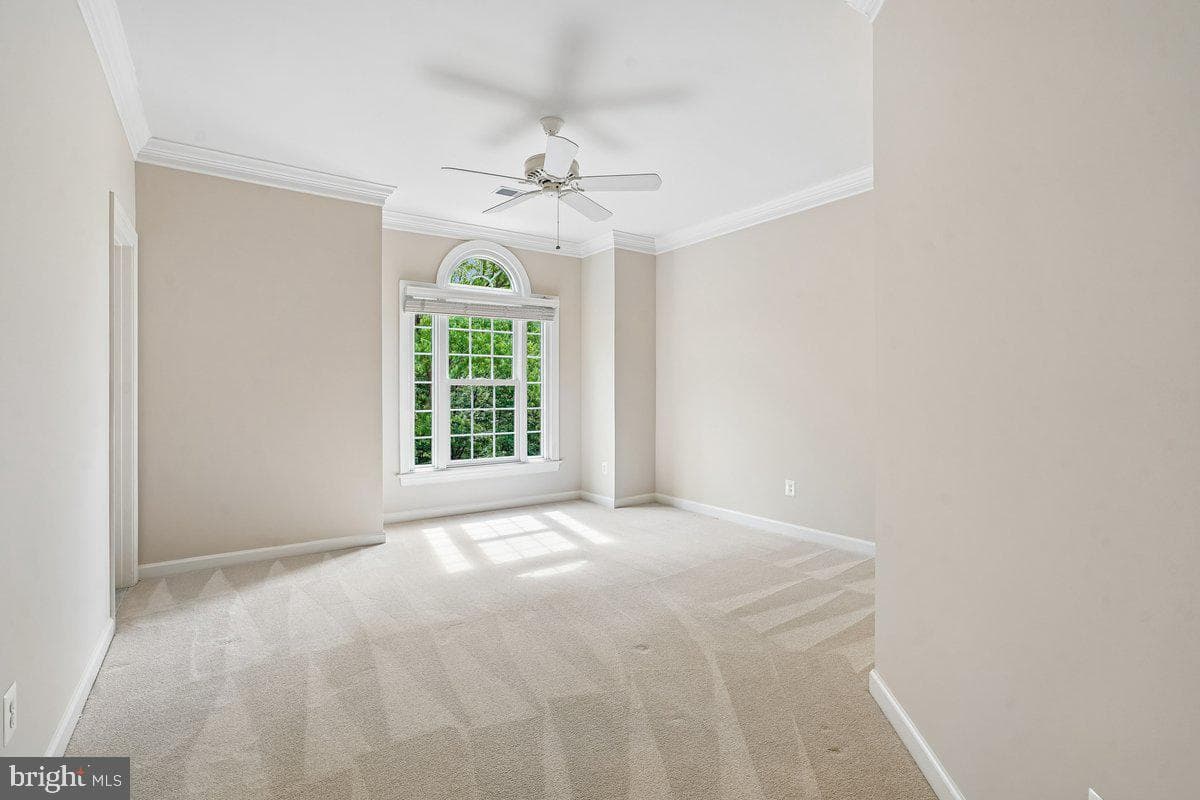 3853 Lewiston Place photo 37