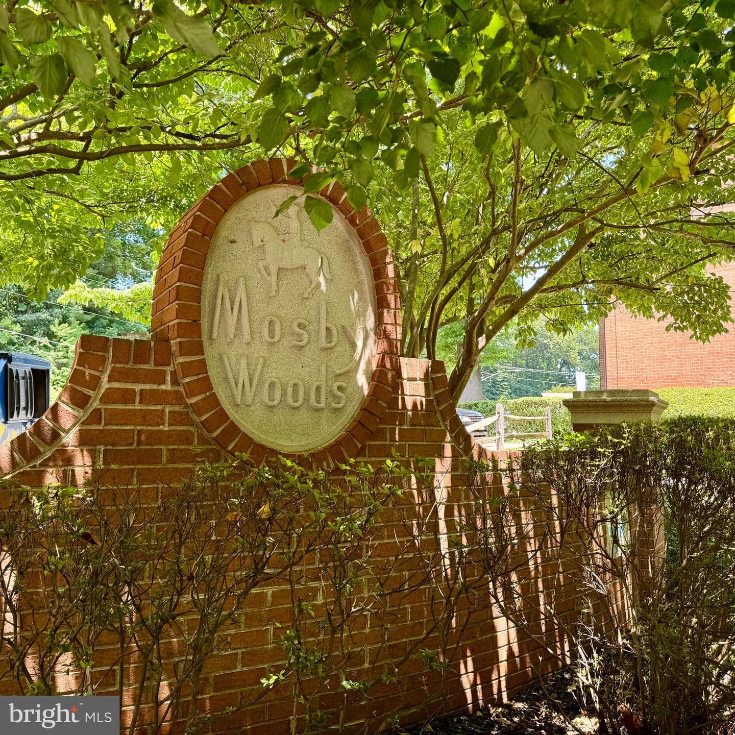 10029 Mosby Woods Drive #224 photo 11