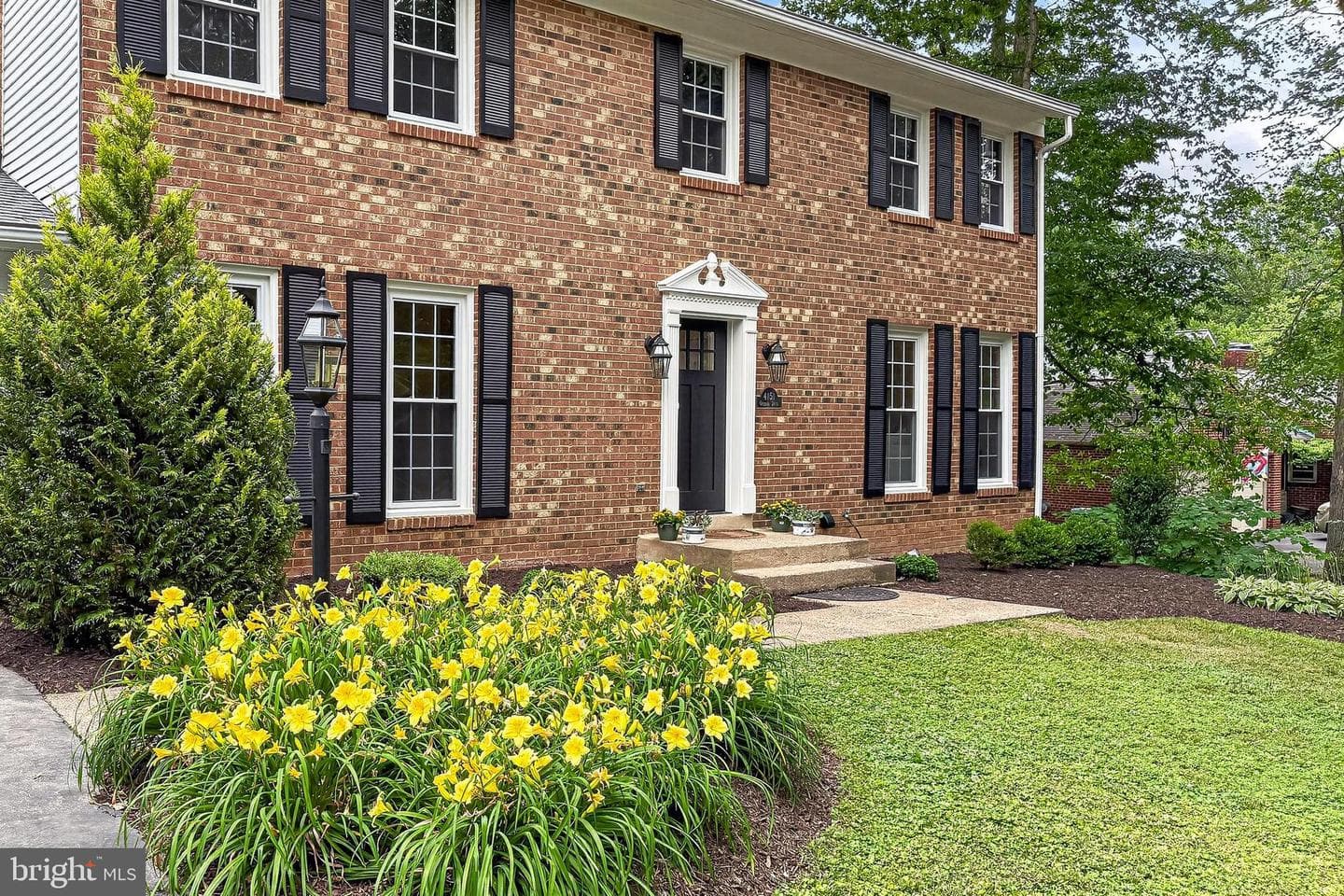 4151 Orchard Drive photo 6