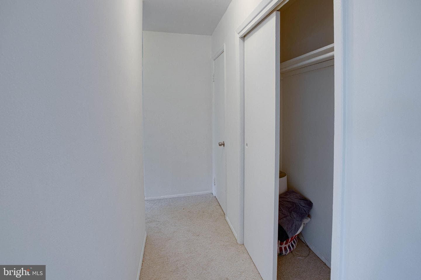 3945 Lyndhurst Drive #301 photo 14