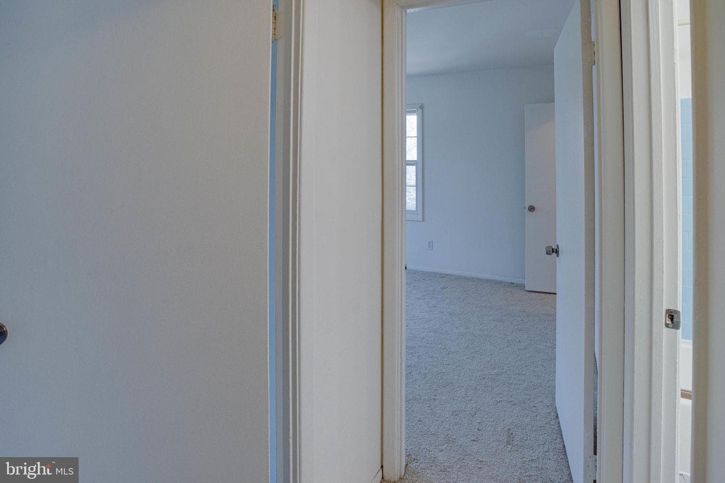 3945 Lyndhurst Drive #301 photo 15