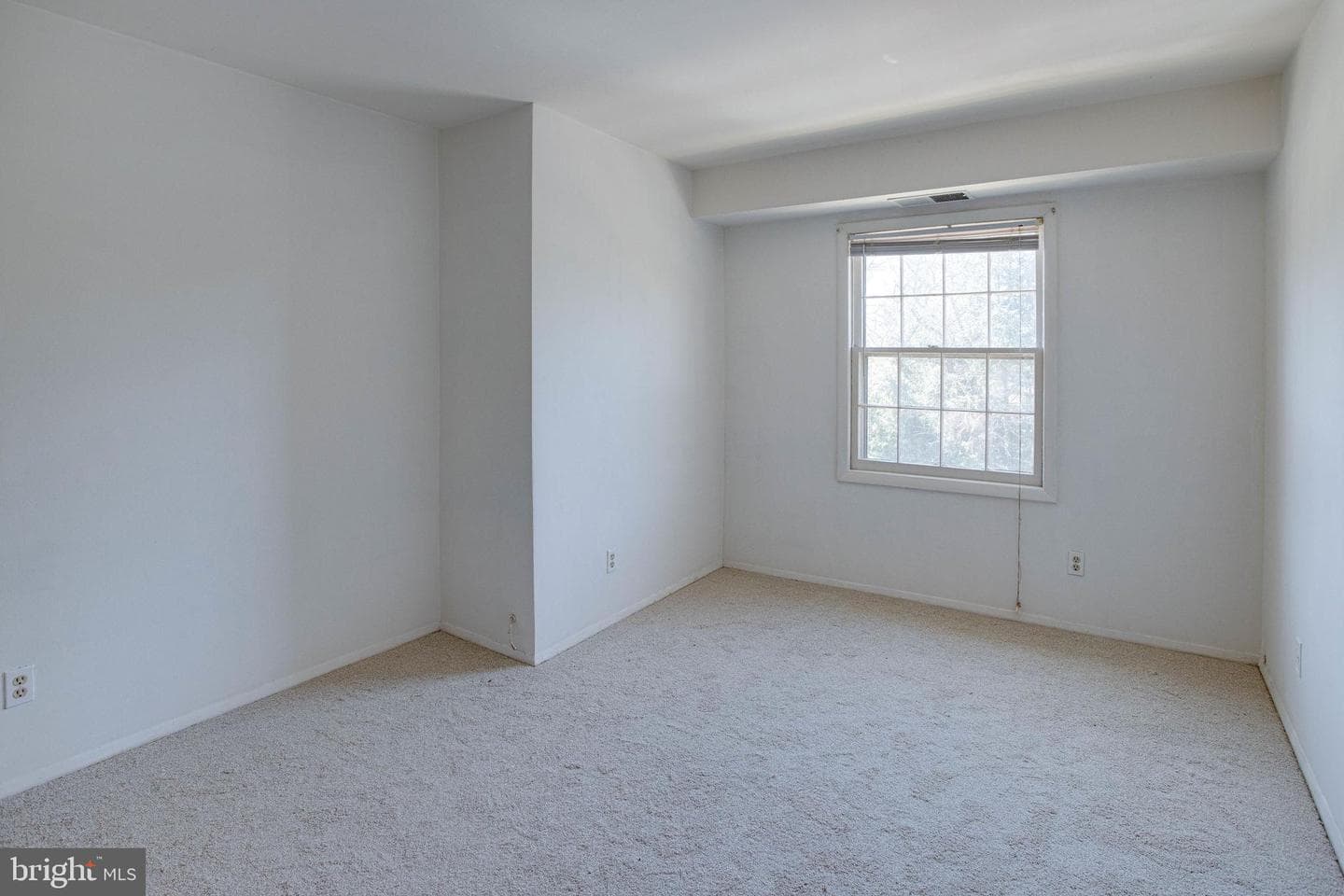 3945 Lyndhurst Drive #301 photo 16