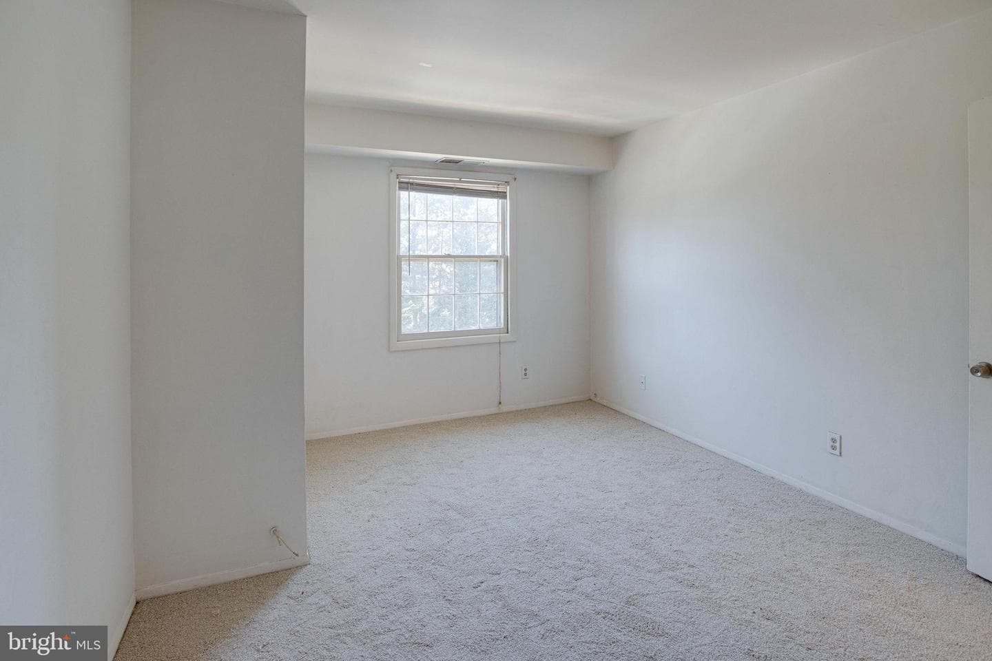 3945 Lyndhurst Drive #301 photo 17