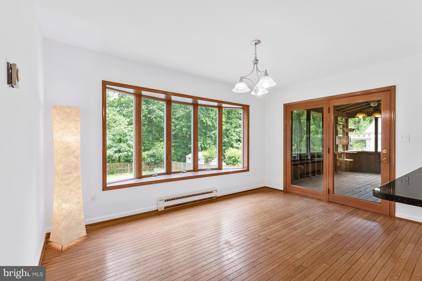 10824 Scott Drive photo 8