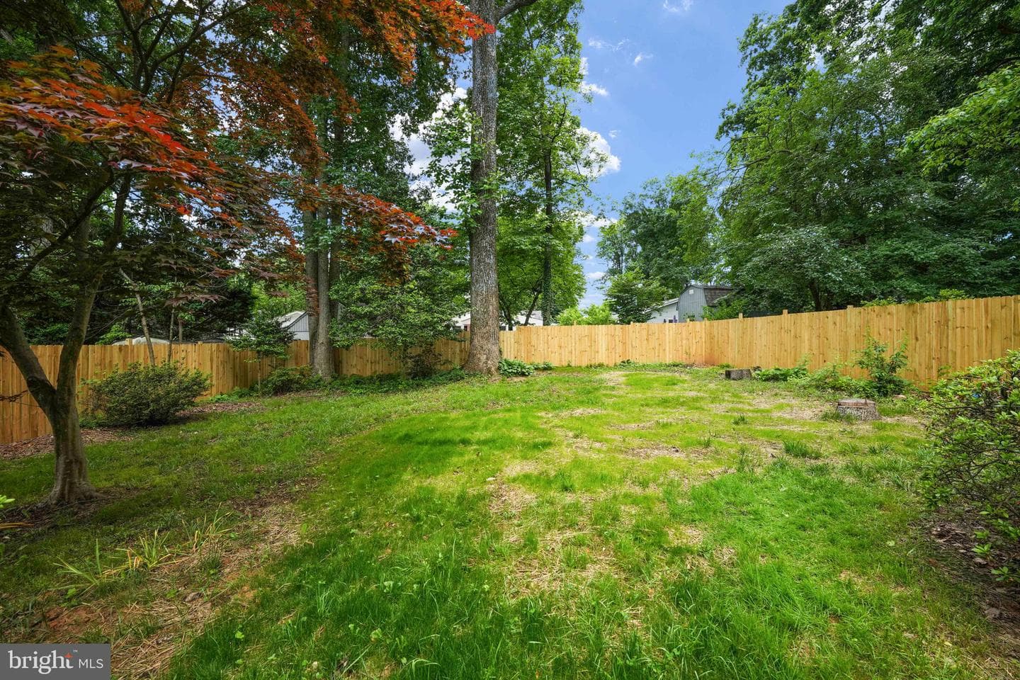 10811 Scott Drive photo 54