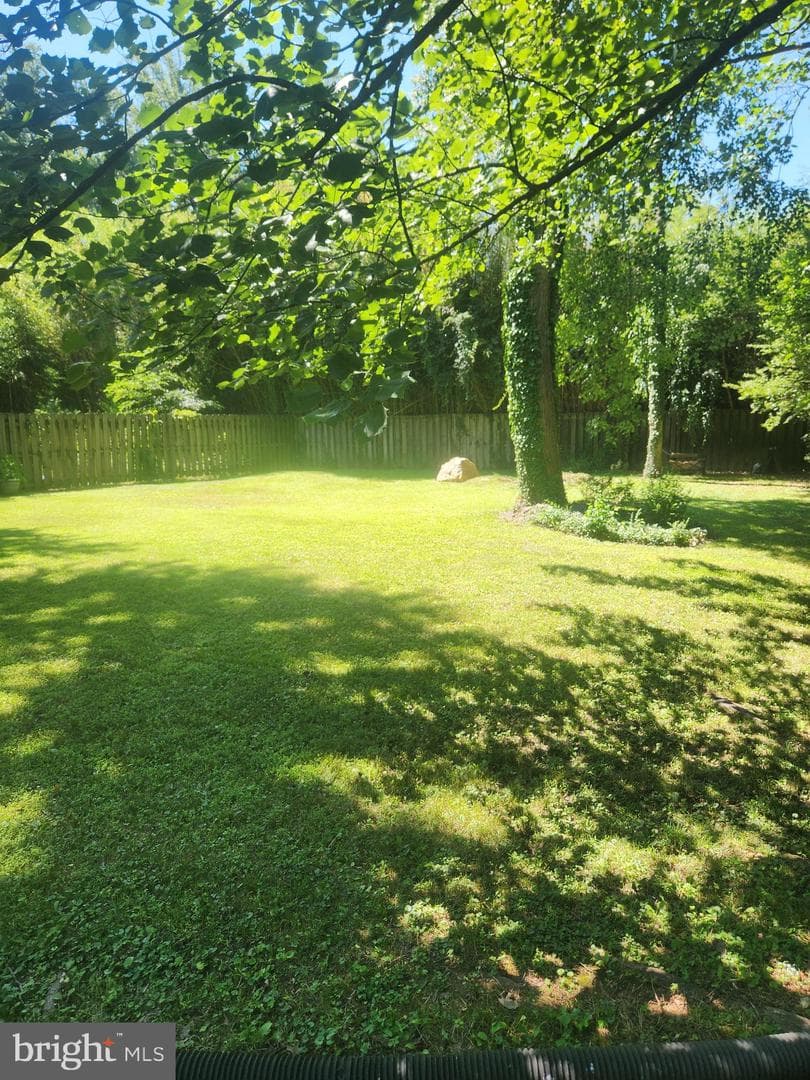 10909 Maple Street photo 3