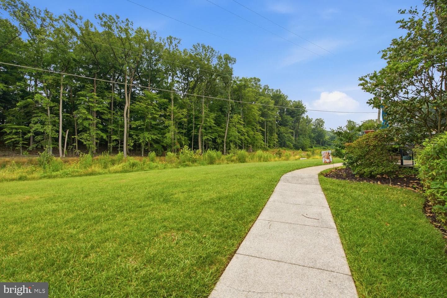 10105 Fair Woods photo 18