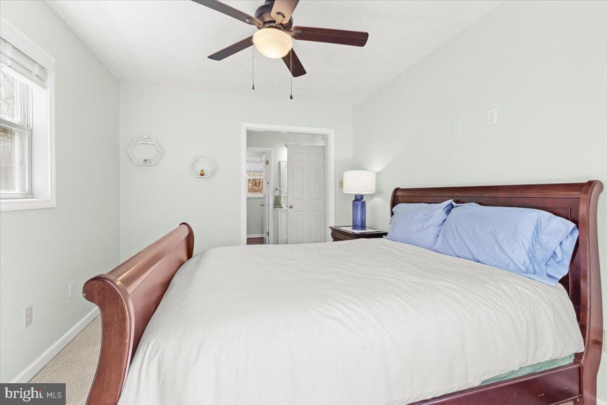290 Dodee Lane photo 25