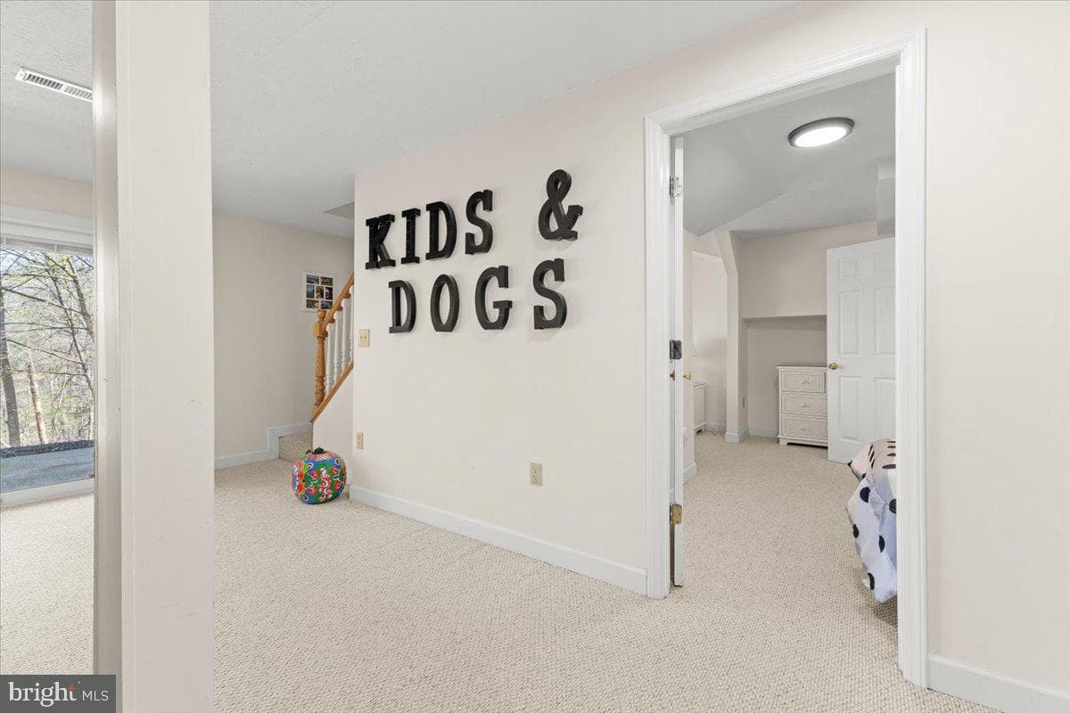 290 Dodee Lane photo 38