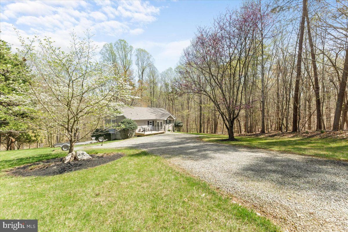 290 Dodee Lane photo 5