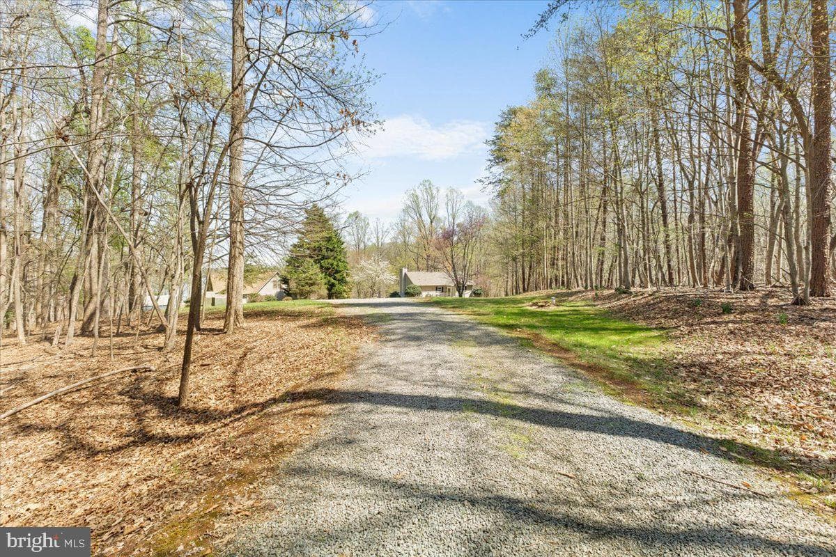 290 Dodee Lane photo 6