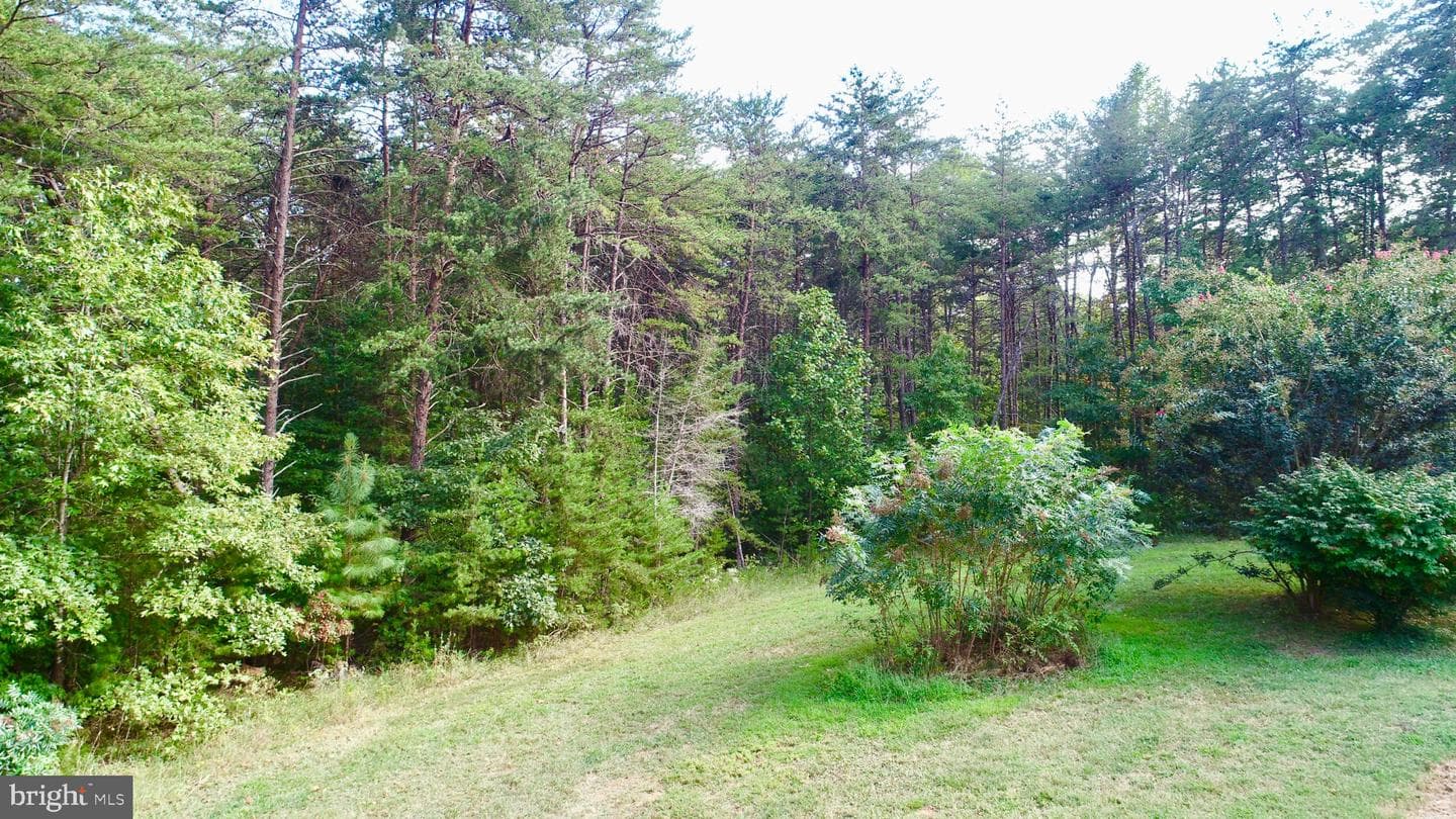 4345 Shores Road photo 36