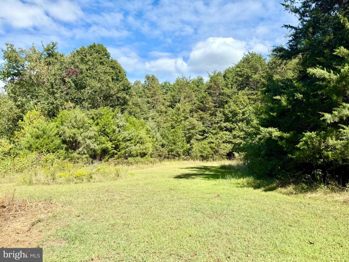 4345 Shores Road photo 38