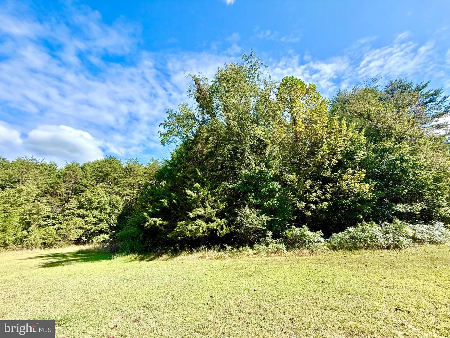 4345 Shores Road photo 39