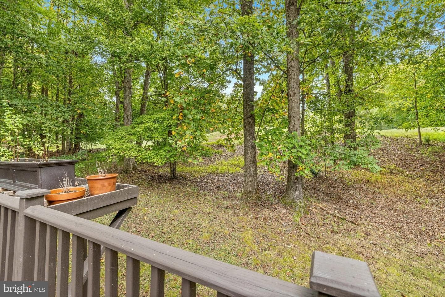 198 Jefferson Dr photo 50
