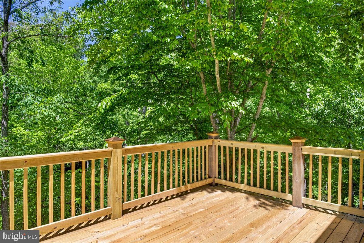 18 Chickasaw Place photo 46