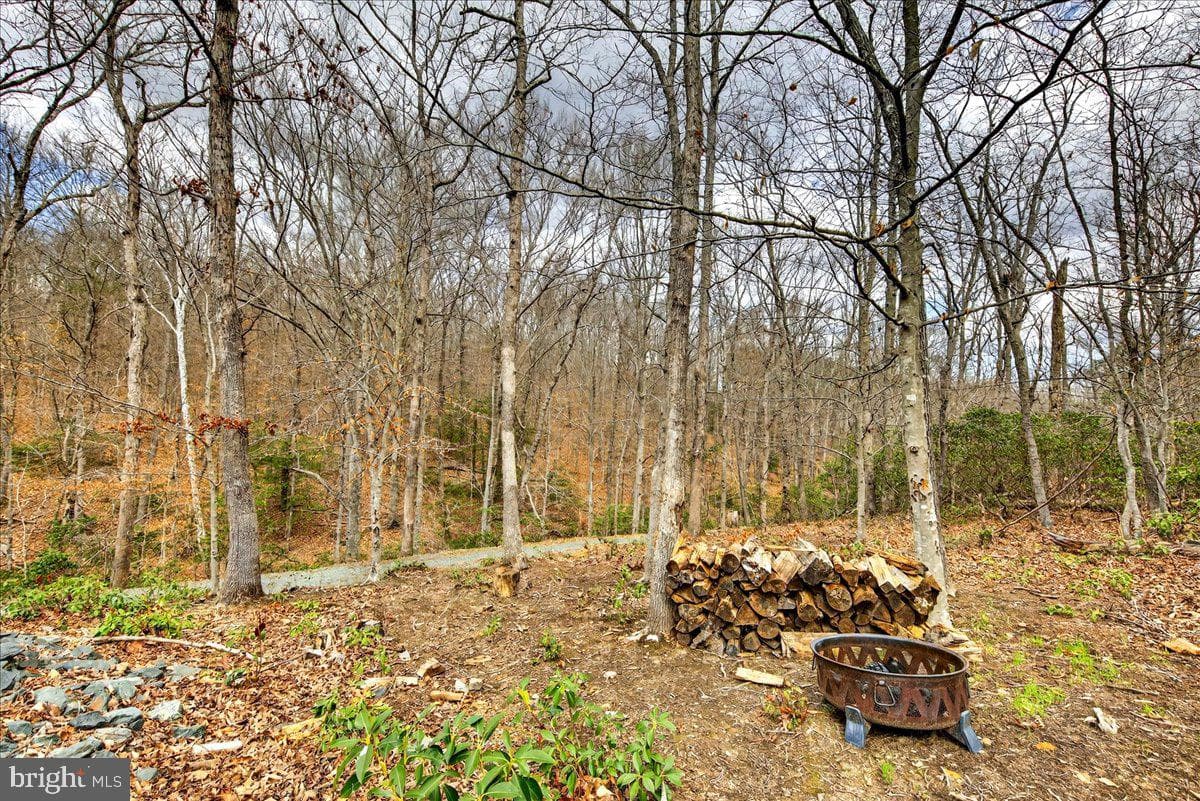 18 Chickasaw Place photo 58