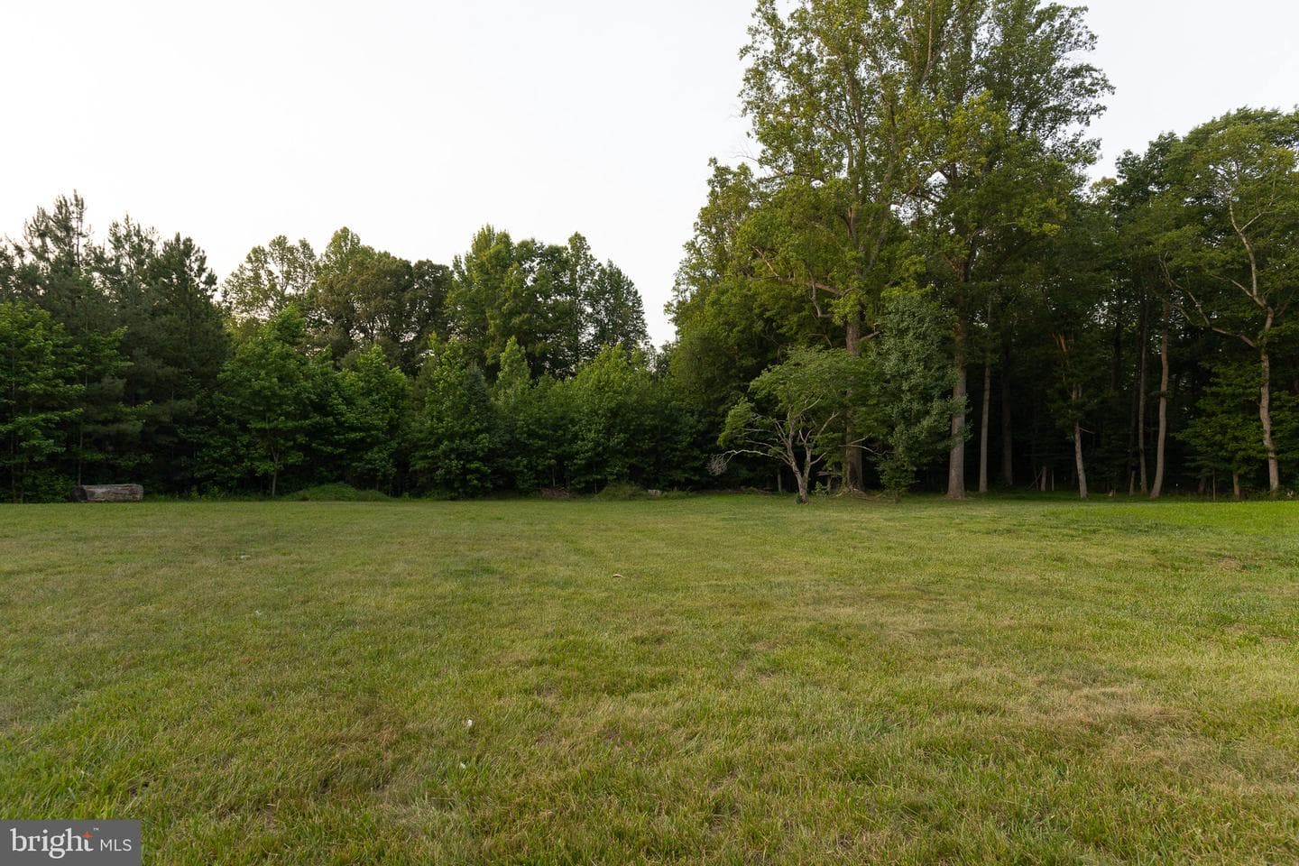 3975 James Madison Highway photo 65