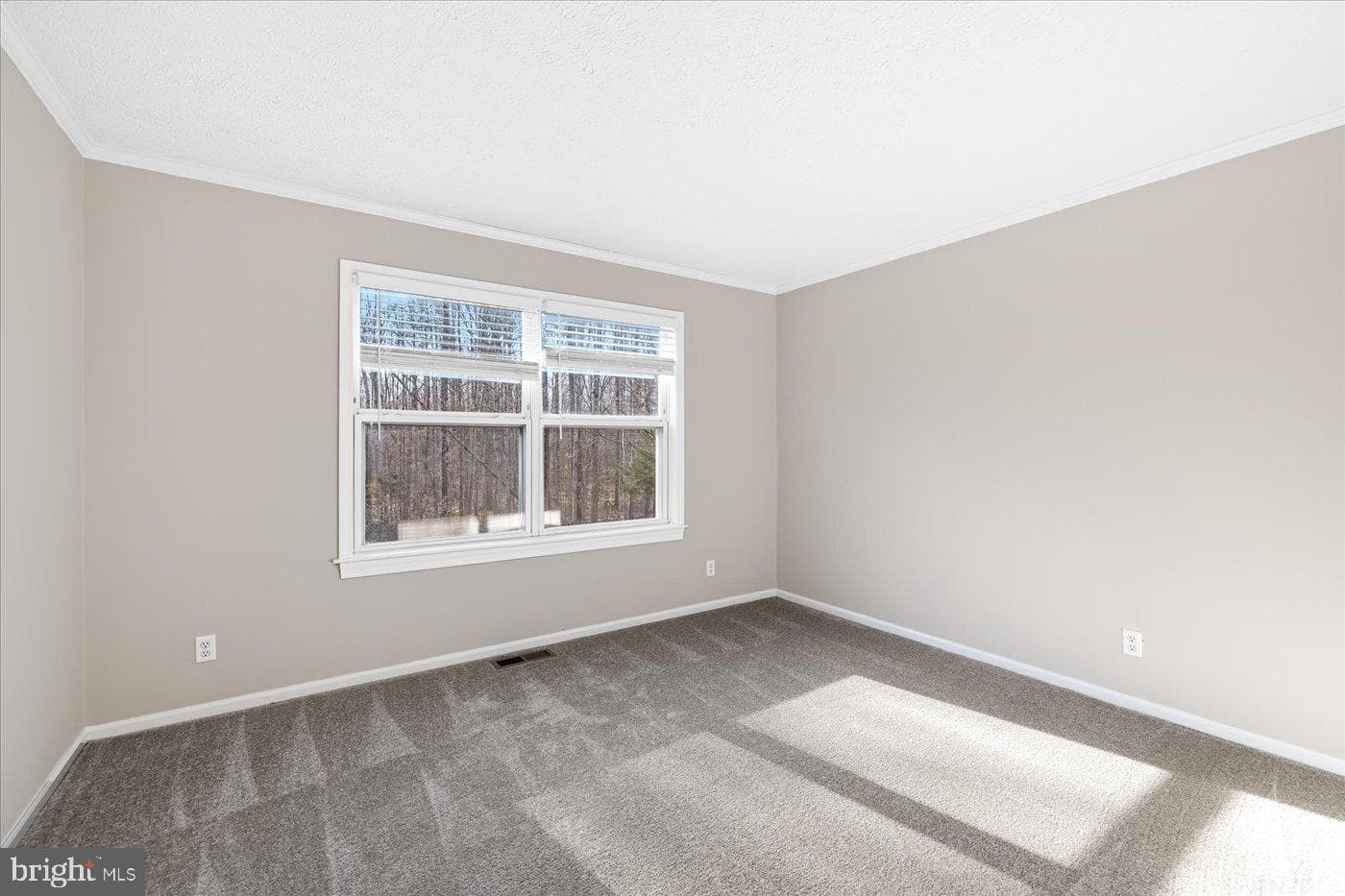 6984 Owl Lane photo 26