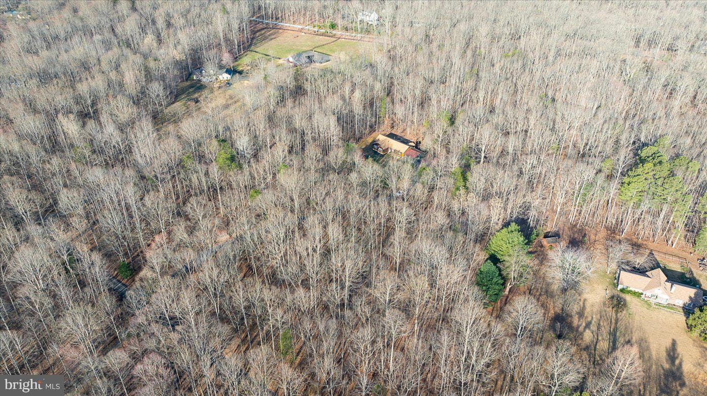6984 Owl Lane photo 6