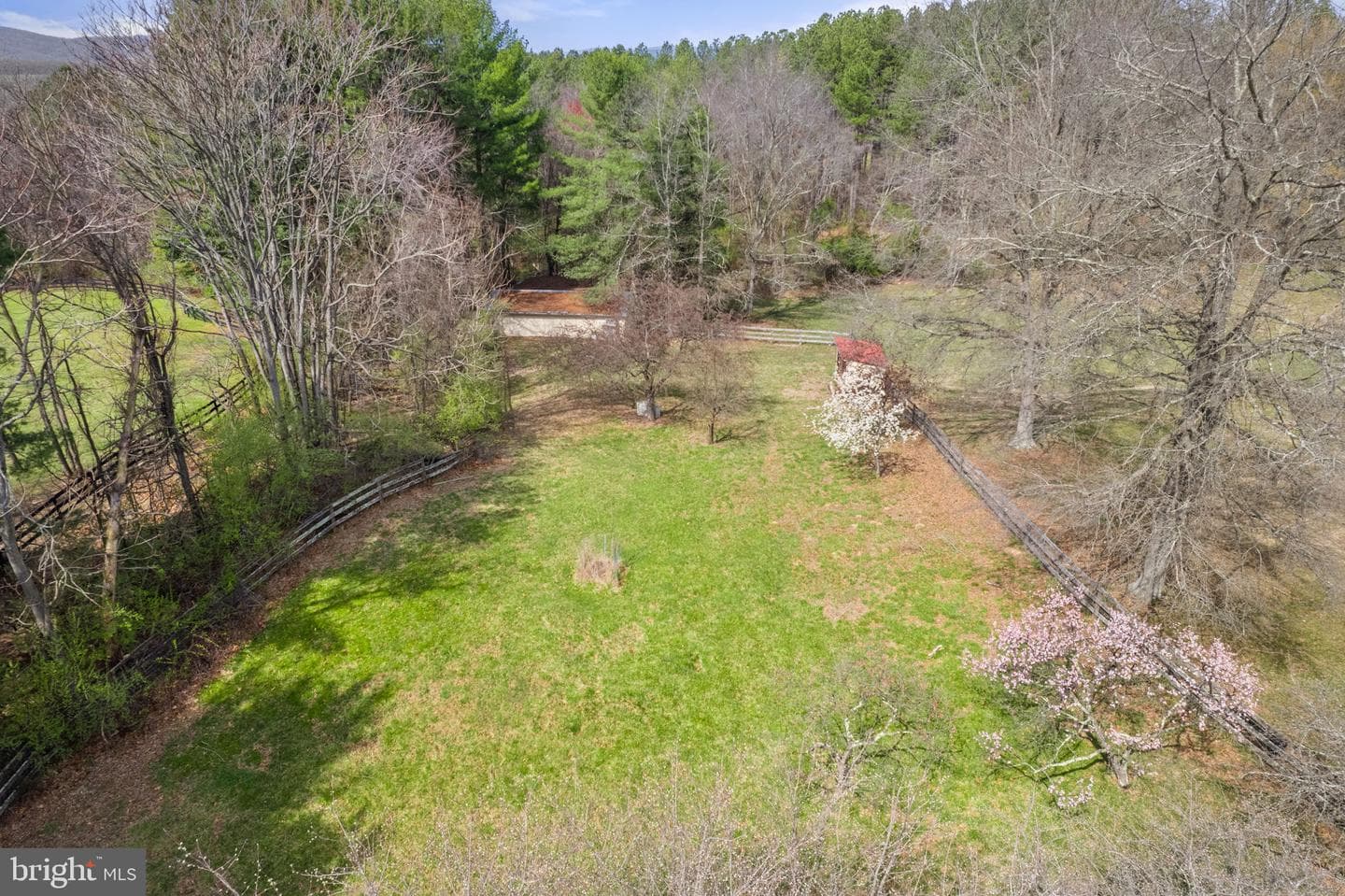 8839 Grasslands Court photo 36