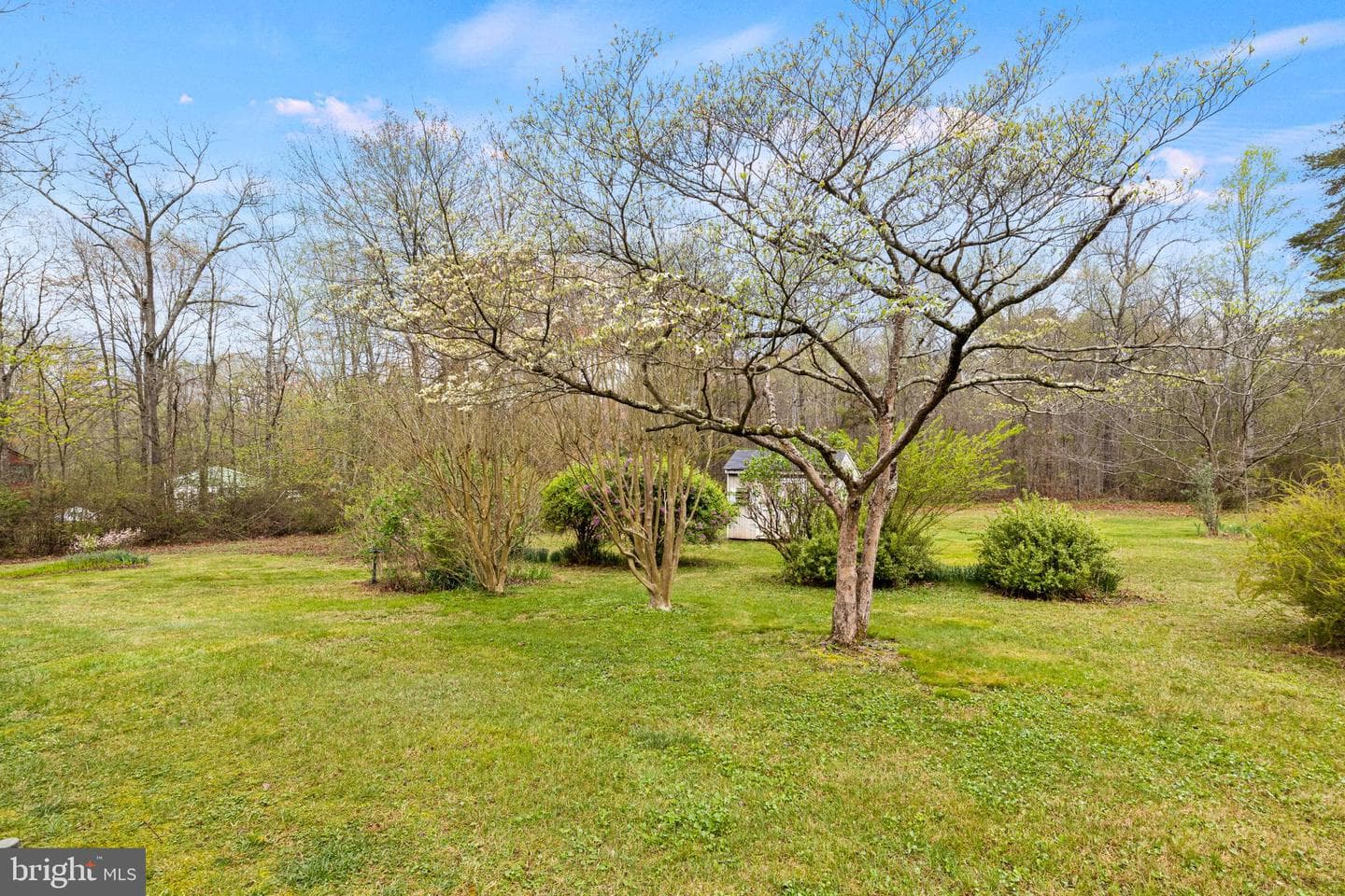 7332 Okeefe Road photo 11