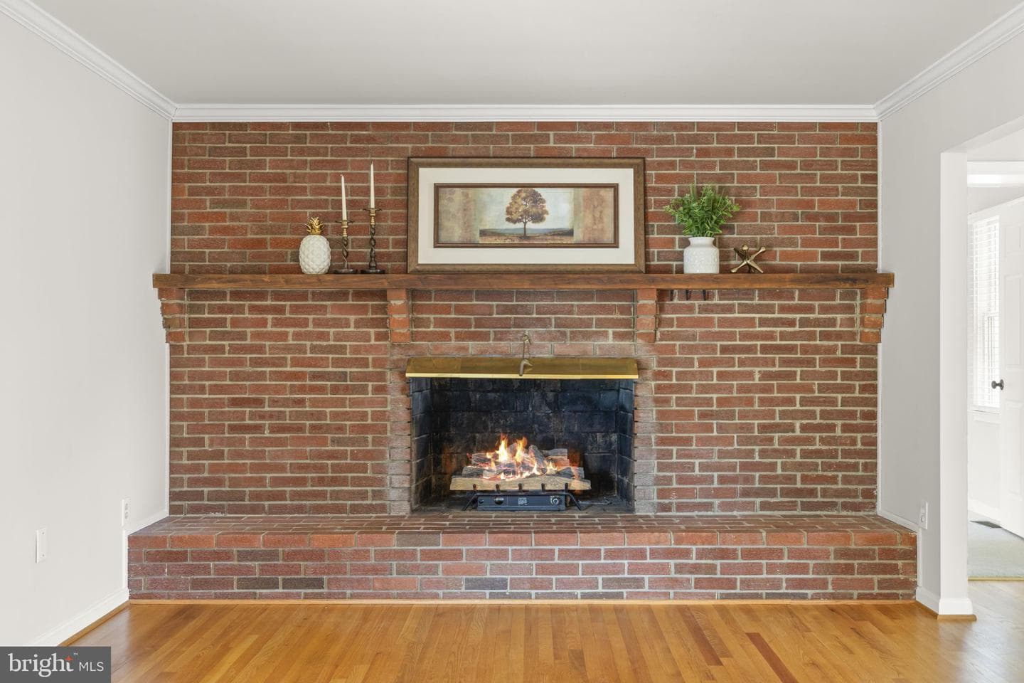 5323 Colt Drive photo 23