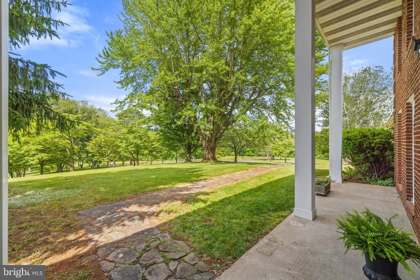 5323 Colt Drive photo 3