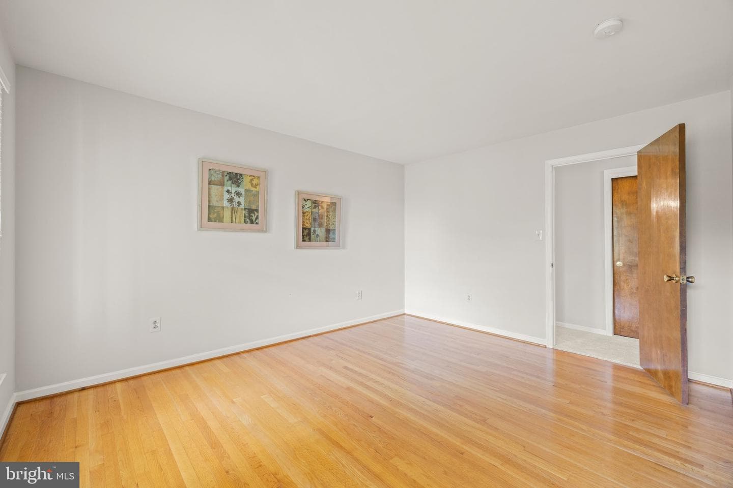 5323 Colt Drive photo 50