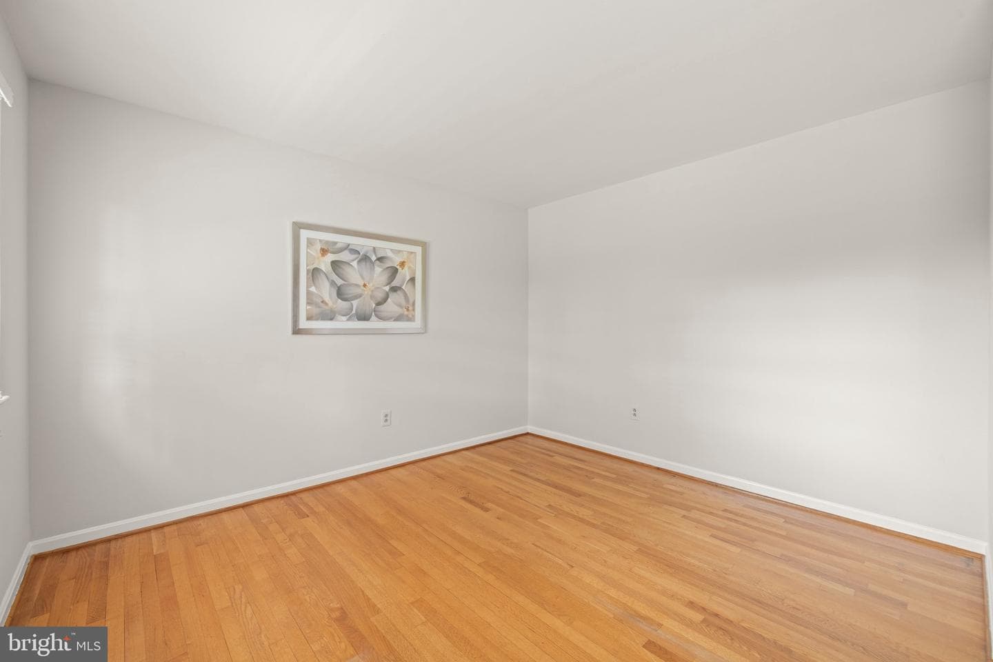5323 Colt Drive photo 53