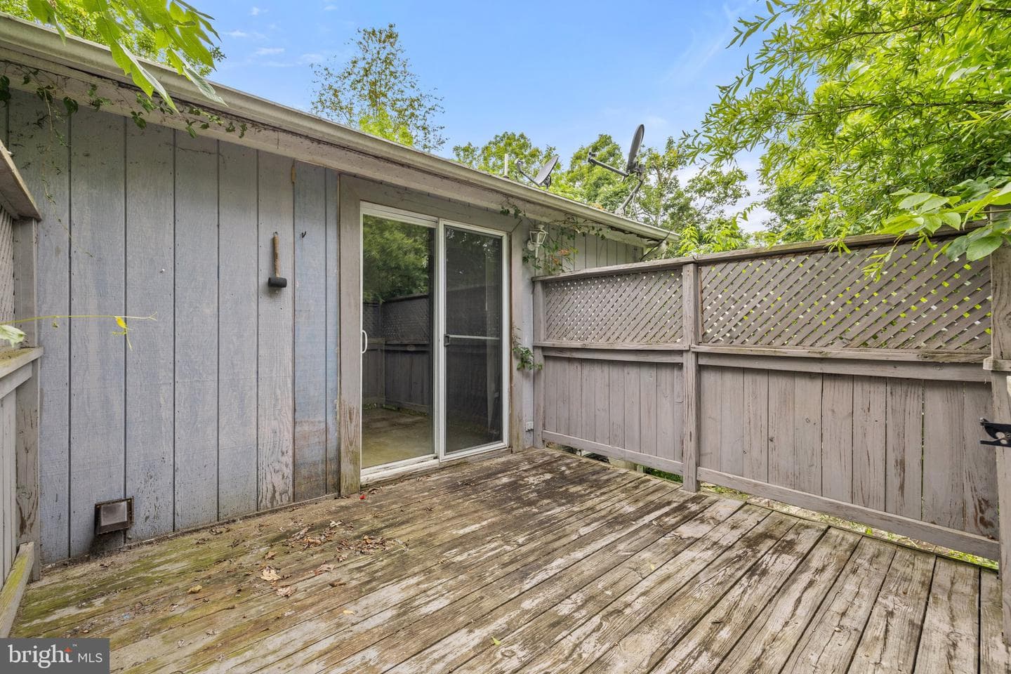 12281 Piney Lane photo 18