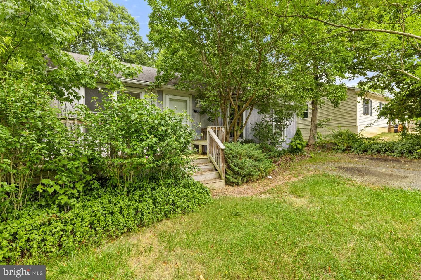 12281 Piney Lane photo 2