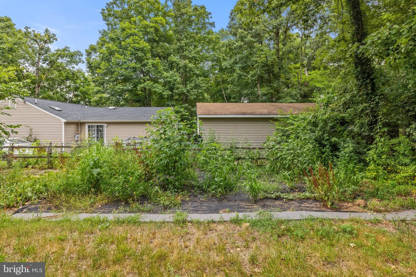 12281 Piney Lane photo 22