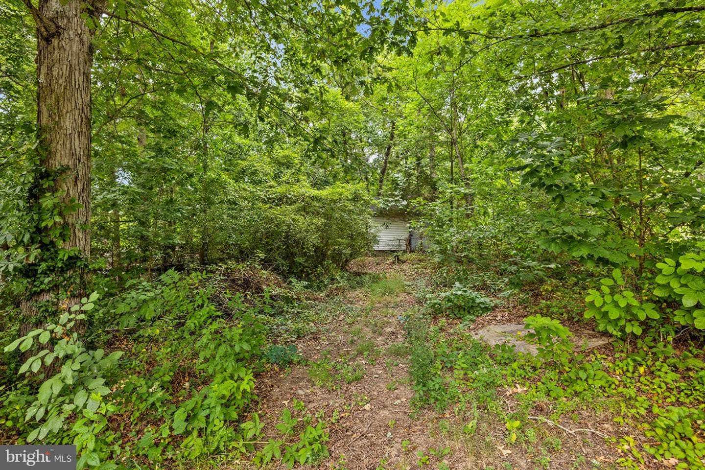 12281 Piney Lane photo 24