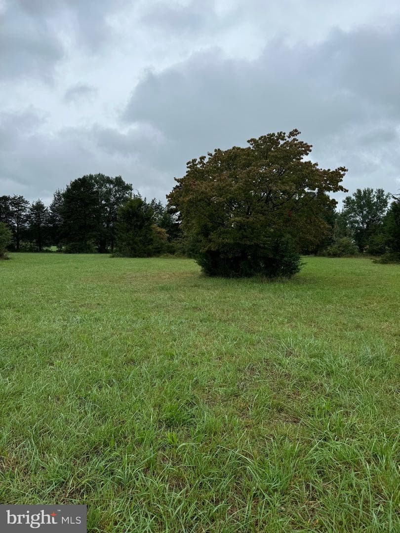 12551 Lucky Hill Road photo 14