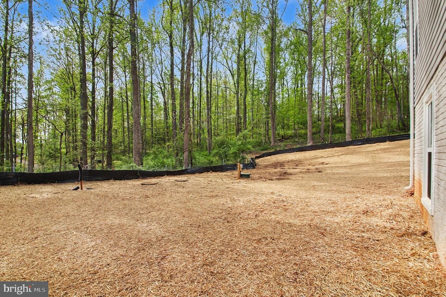 7253 Blackwell Road photo 41