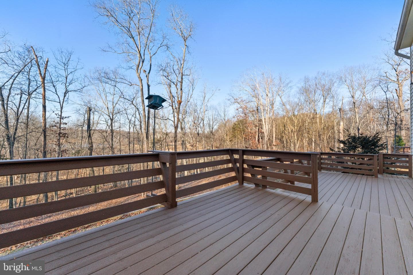 6519 Dinwiddie Court photo 40
