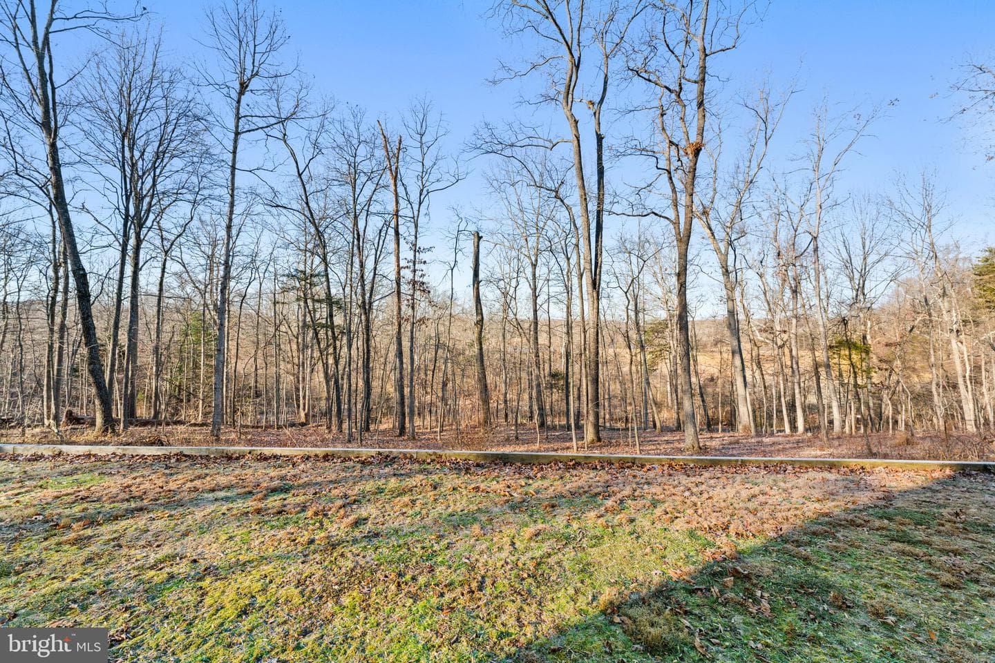 6519 Dinwiddie Court photo 46