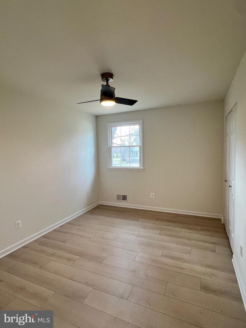377 Cleveland Street photo 10