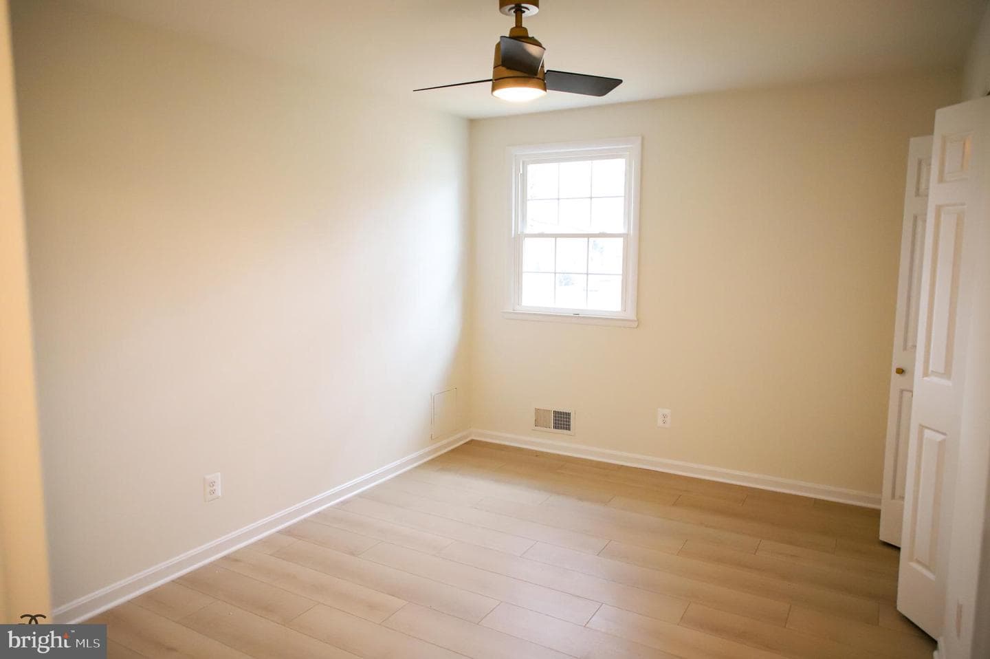 377 Cleveland Street photo 11