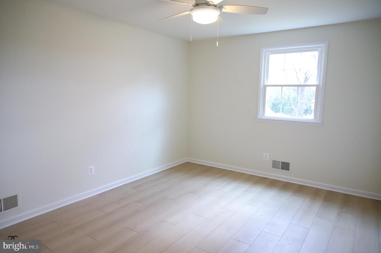 377 Cleveland Street photo 15