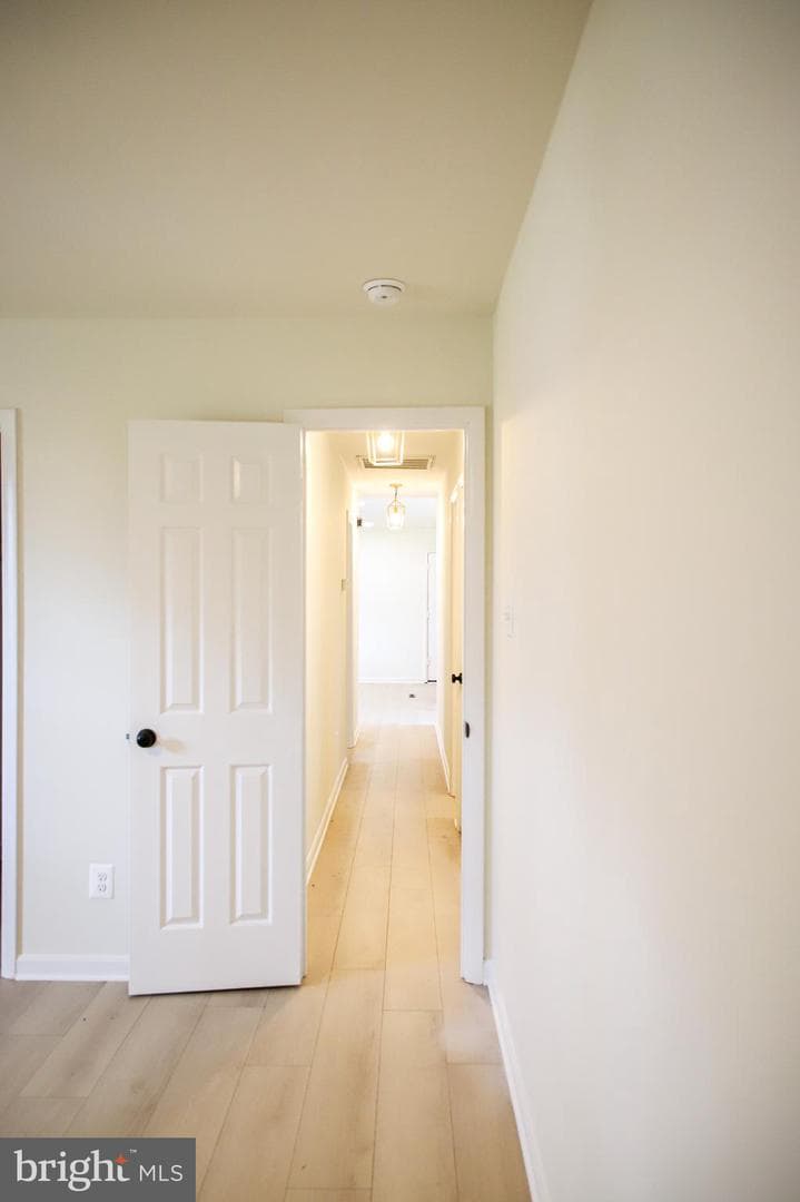 377 Cleveland Street photo 17